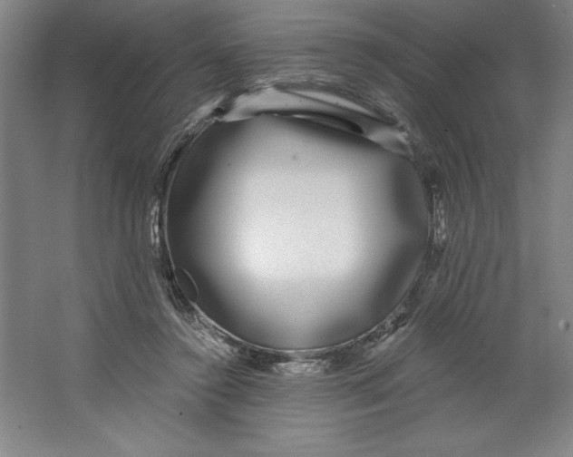 X0000062140356200512301533