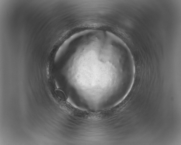 X0000062140358200512301533