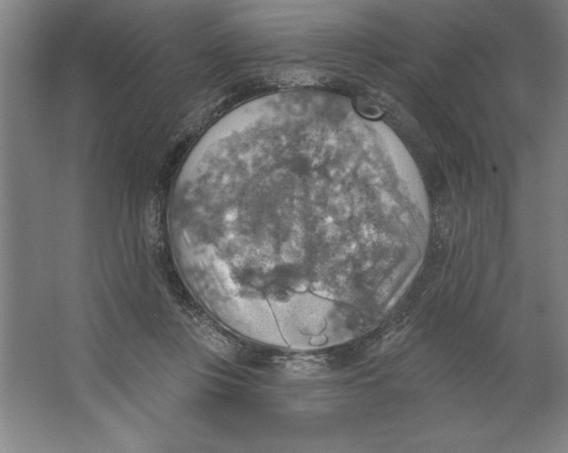 X0000062140359200512301533