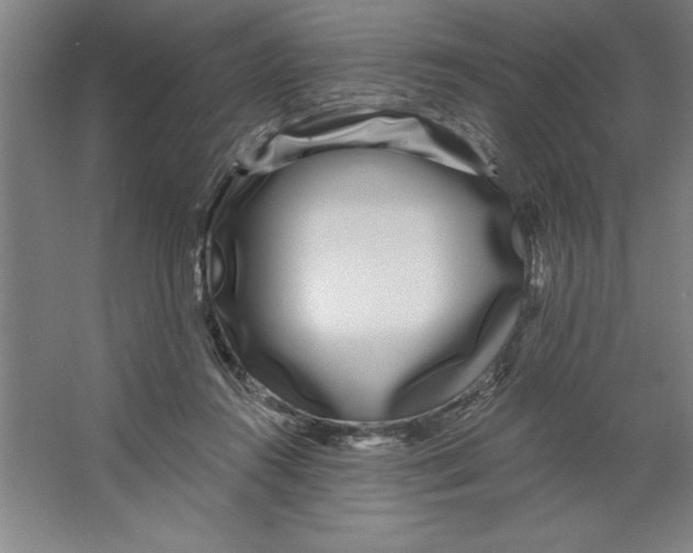 X0000062140360200512301533