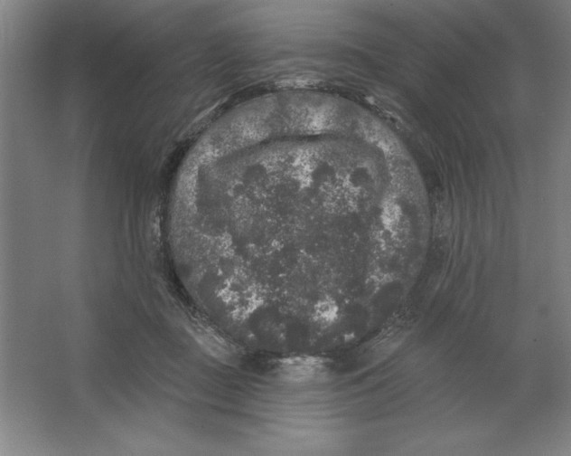 X0000062140363200512301533