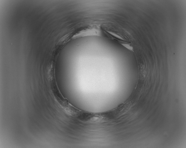 X0000062140364200512301533