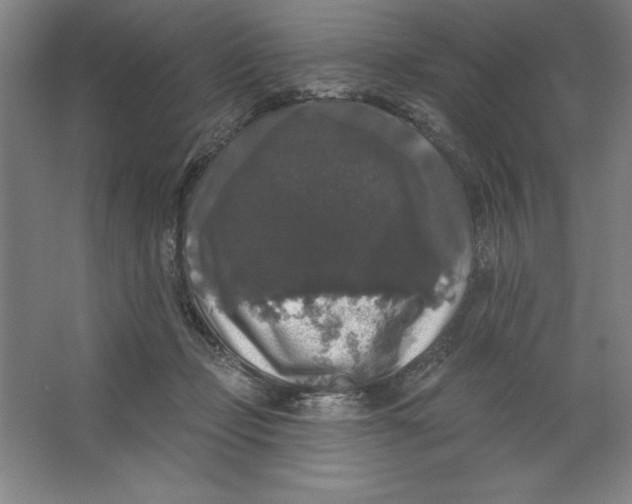 X0000062140365200512301533