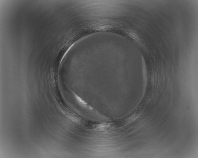 X0000062140366200512301533