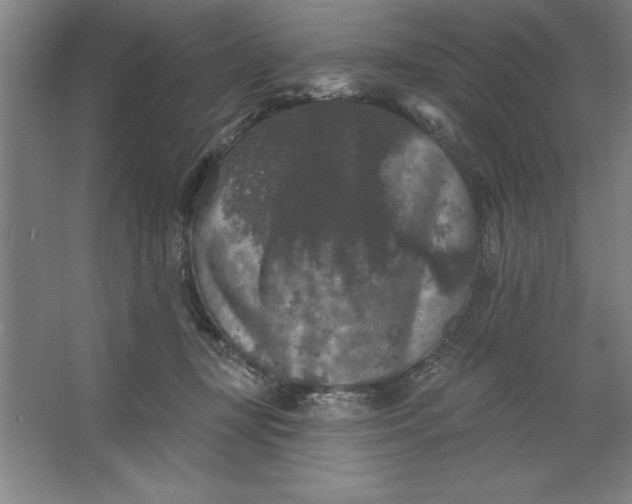 X0000062140367200512301533