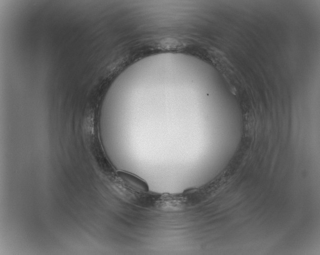 X0000062140368200512301533