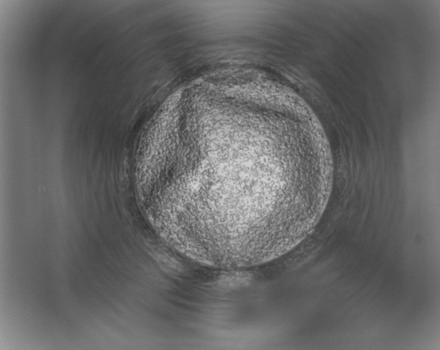 X0000062140369200512301533