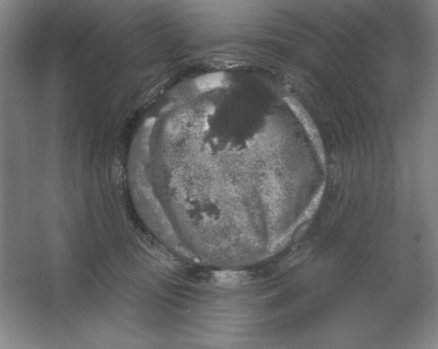 X0000062140371200512301533