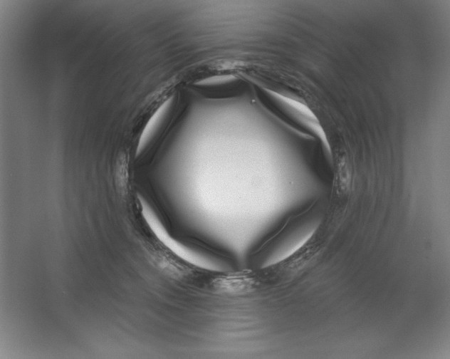 X0000062140372200512301533