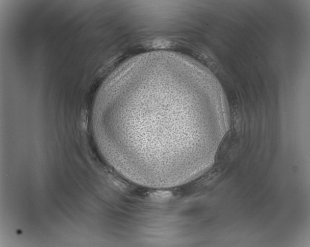 X0000062140374200512301533