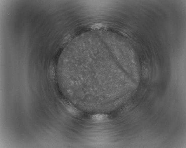 X0000062140375200512301533