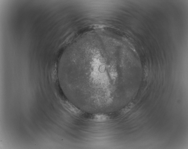 X0000062140376200512301533