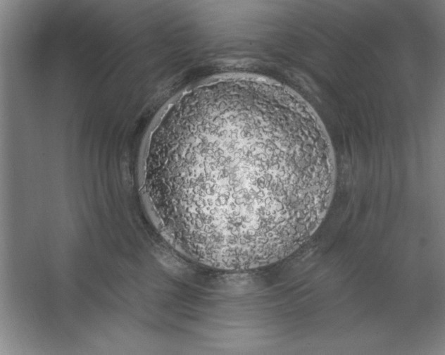 X0000062140377200512301533