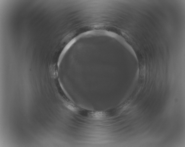 X0000062140383200512301534