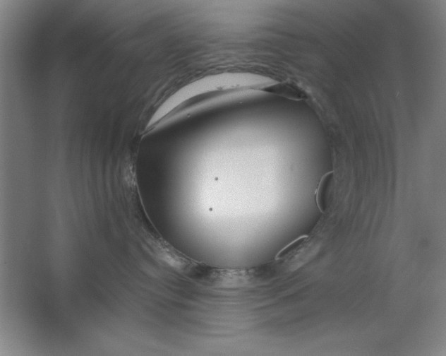 X0000062140384200512301534