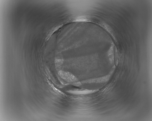 X0000062140385200512301533