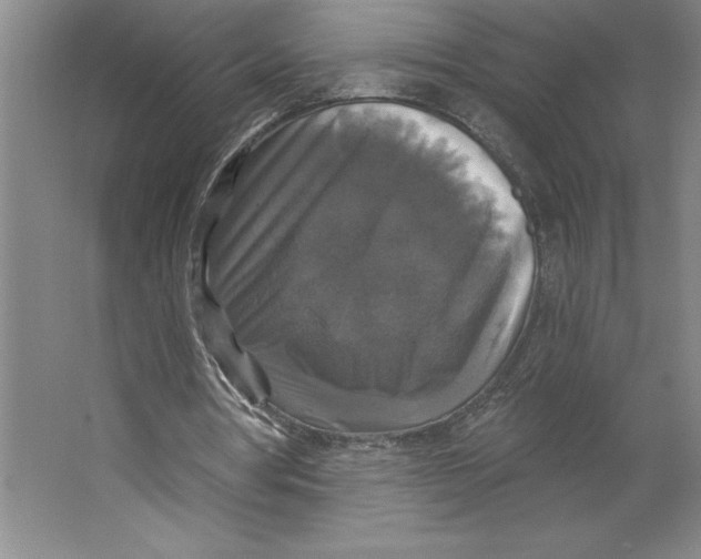 X0000062140386200512301533