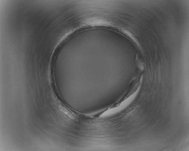 X0000062140391200512301533