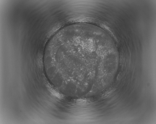 X0000062140394200512301533