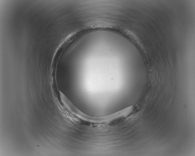 X0000062140395200512301533