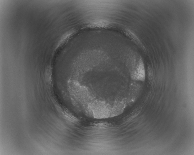 X0000062140396200512301533