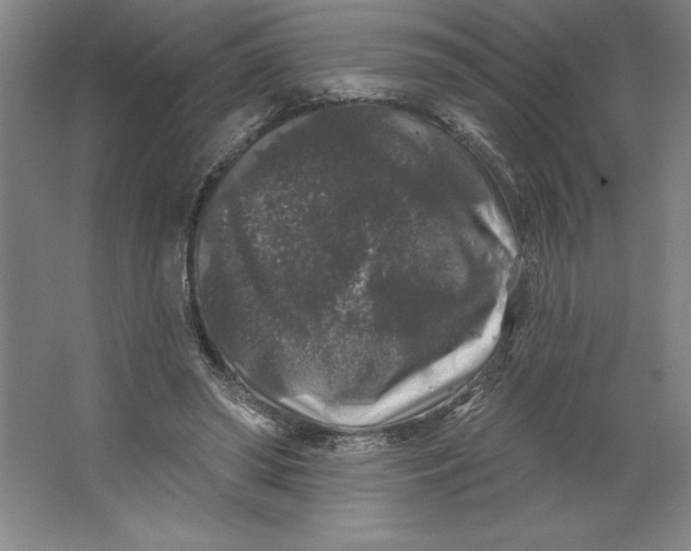 X0000062140398200512301533