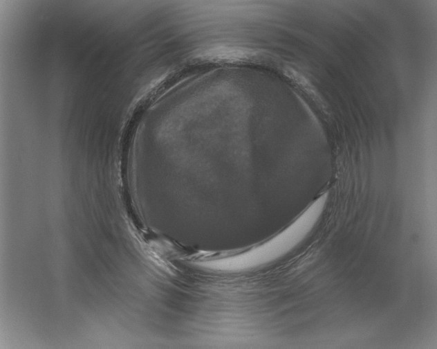 X0000062140399200512301533