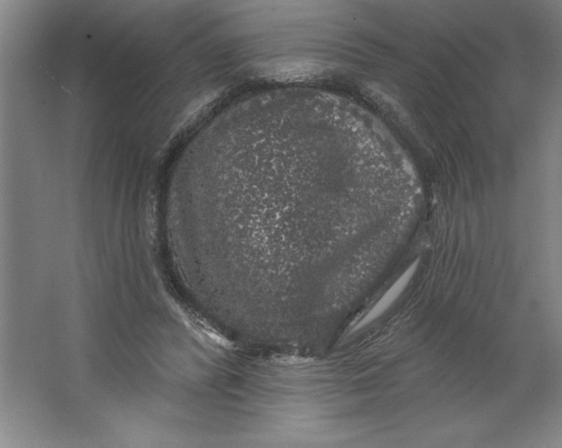 X0000062140400200512301533