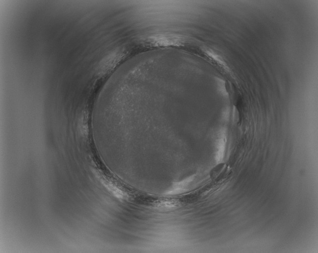 X0000062140402200512301532