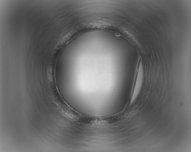 X0000062140403200512301532