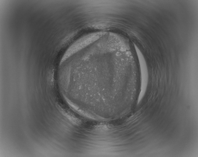 X0000062140404200512301532