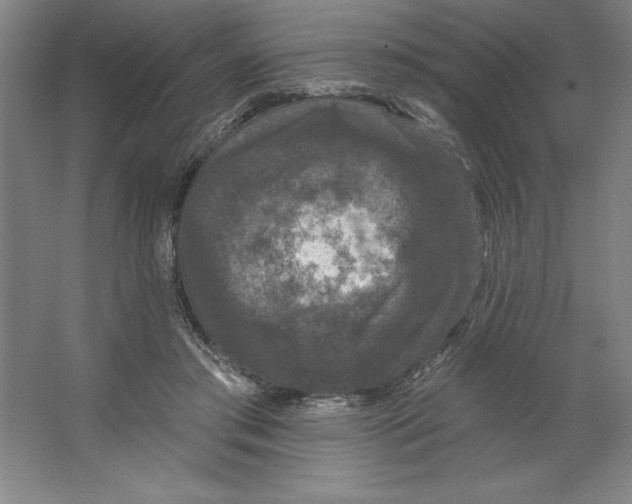 X0000062140405200512301532