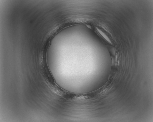 X0000062140407200512301532