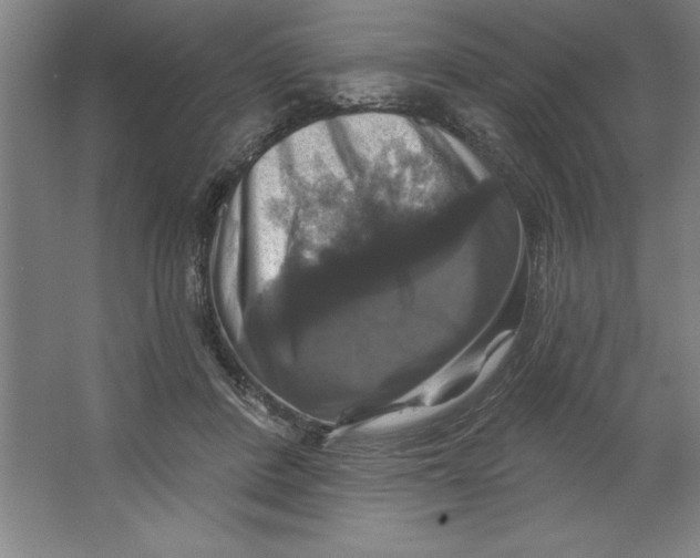 X0000062140408200512301532