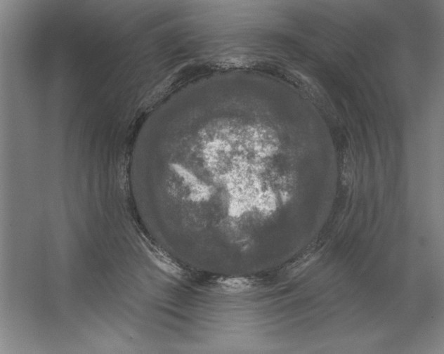 X0000062140409200512301532