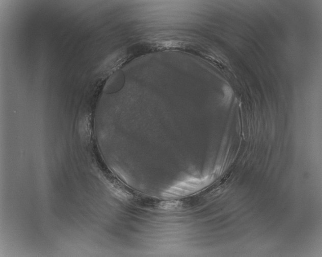 X0000062140410200512301532