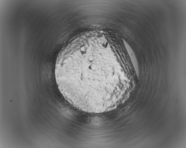 X0000062140412200512301532