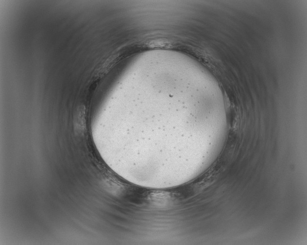 X0000062140413200512301532