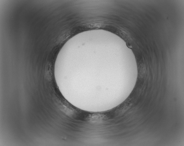 X0000062140414200512301532