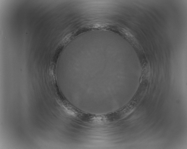 X0000062140415200512301532