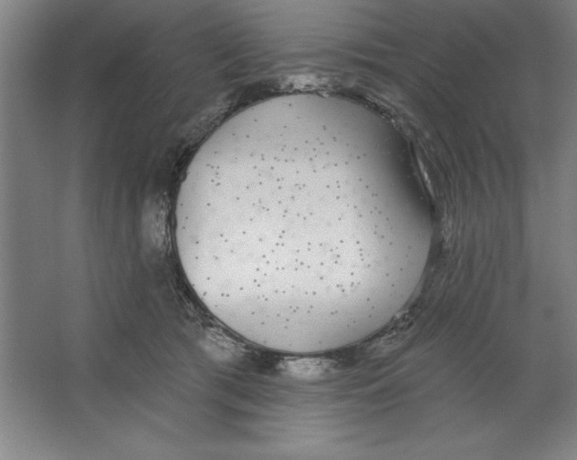 X0000062140417200512301532