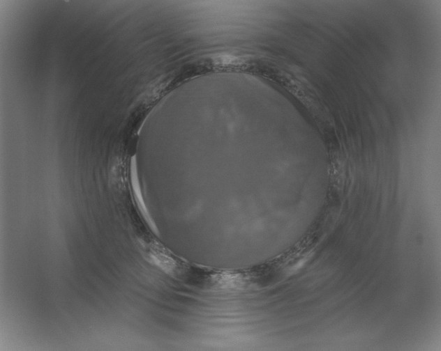 X0000062140419200512301532