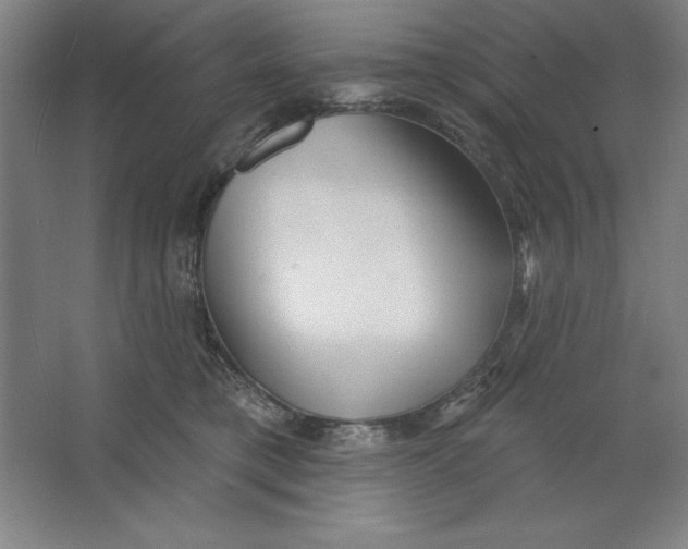 X0000062140421200512301532