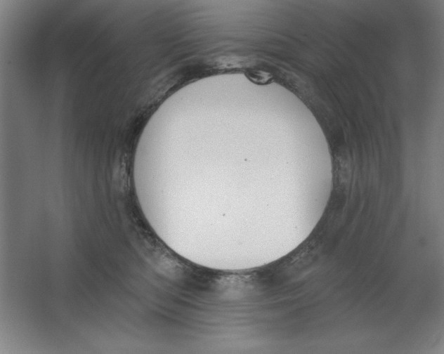 X0000062140422200512301532