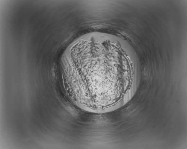 X0000062140424200512301532