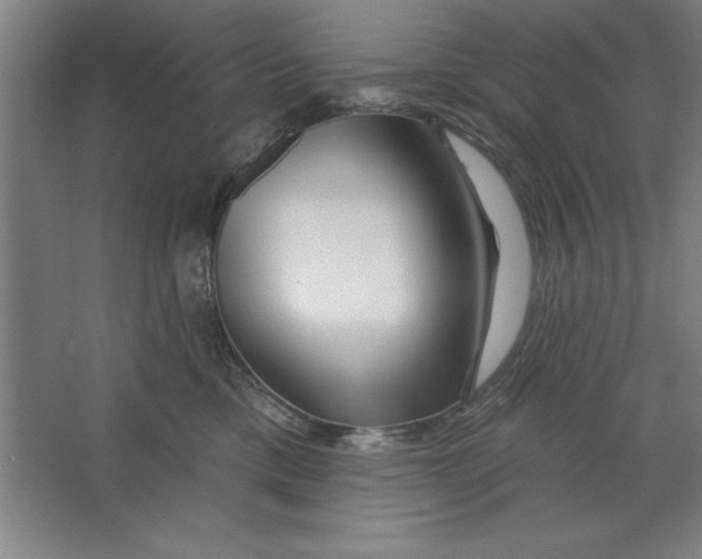 X0000062140425200512301532