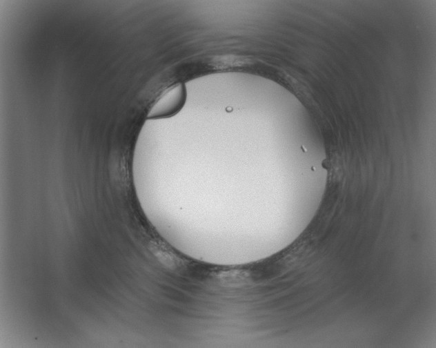 X0000062140426200512301532