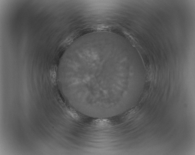 X0000062140427200512301532