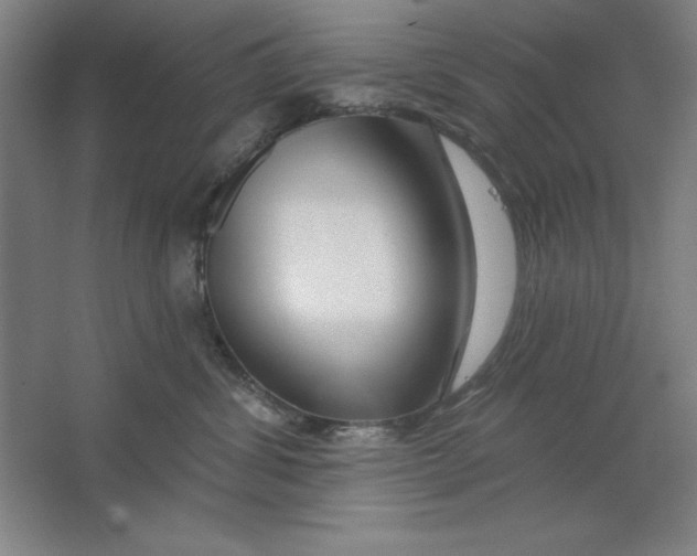 X0000062140428200512301532