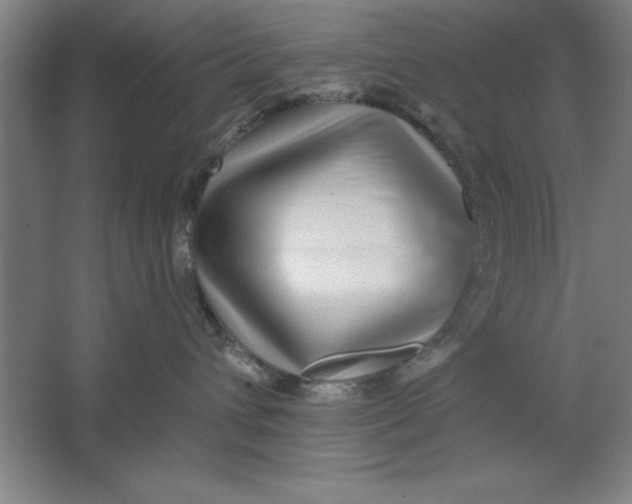 X0000062140432200512301532